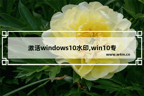 激活windows10水印,win10专业版右下角激活windows 水印如何消除