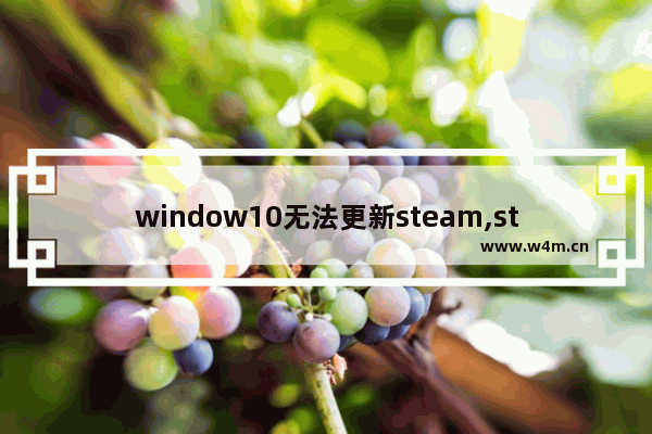 window10无法更新steam,steam下载后打不开 显示更新失败win10