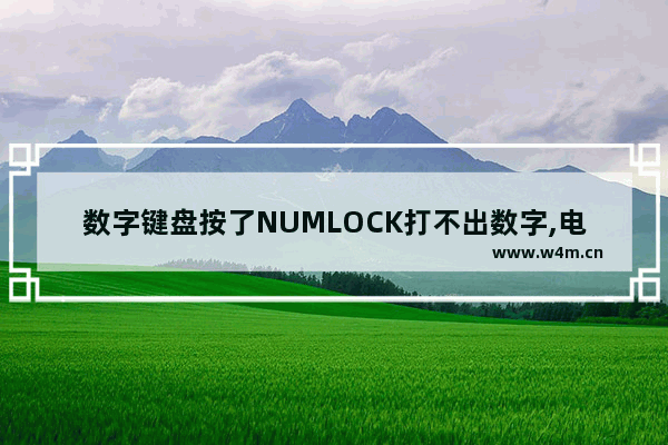 数字键盘按了NUMLOCK打不出数字,电脑小键盘numlock灯亮,但无法输入数字