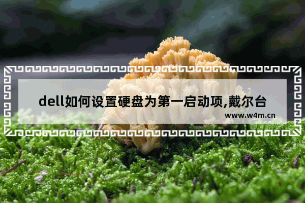 dell如何设置硬盘为第一启动项,戴尔台式机bios怎么设置第一启动项