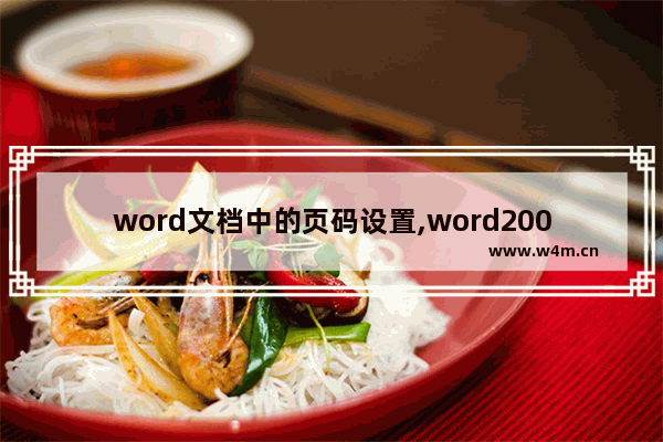 word文档中的页码设置,word2007文档怎么设置页码