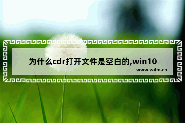 为什么cdr打开文件是空白的,win10装cdr菜单白色