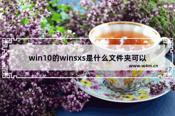 win10的winsxs是什么文件夹可以删除吗,win10的winsxs文件清理