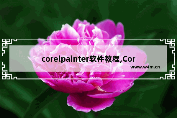 corelpainter软件教程,Corel Painter下载