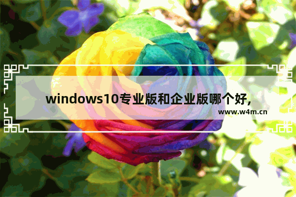 windows10专业版和企业版哪个好,win10企业版和win10专业版的区别