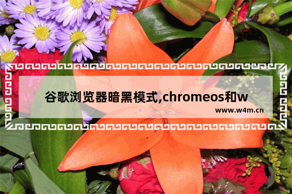 谷歌浏览器暗黑模式,chromeos和win10