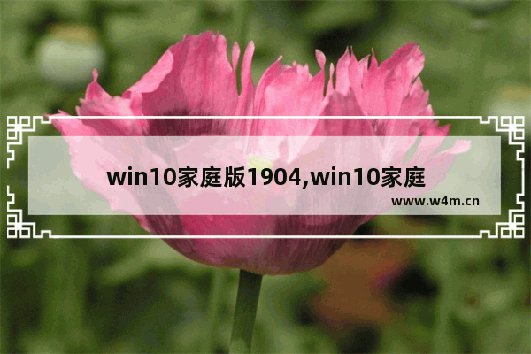 win10家庭版1904,win10家庭版是1803还是1903