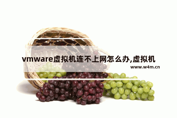 vmware虚拟机连不上网怎么办,虚拟机无法上网怎么办