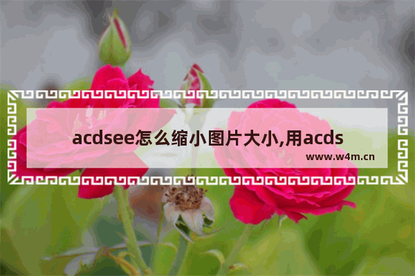 acdsee怎么缩小图片大小,用acdsee调整图片大小的步骤