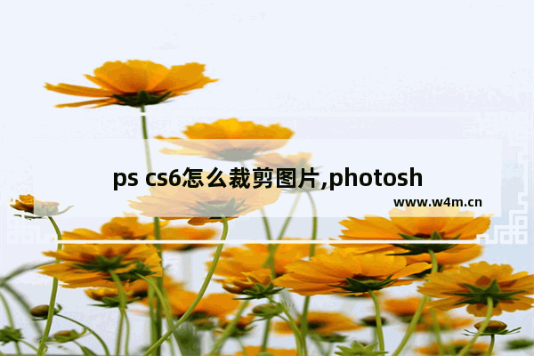 ps cs6怎么裁剪图片,photoshop cs6图像处理案例教程素材