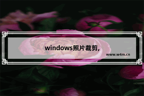 windows照片裁剪,