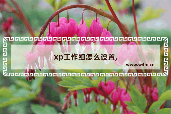 xp工作组怎么设置,