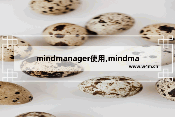 mindmanager使用,mindmanager有用吗