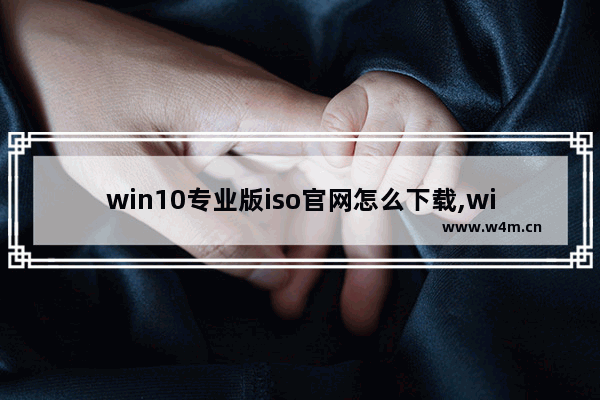 win10专业版iso官网怎么下载,win10.iso下载_2