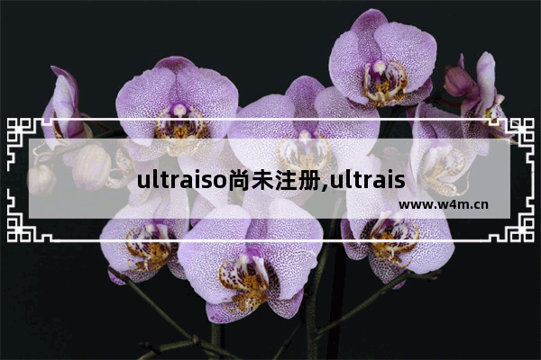 ultraiso尚未注册,ultraiso注册与激活