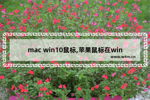 mac win10鼠标,苹果鼠标在win10系统下使用方法