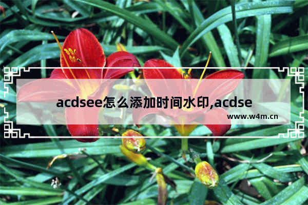 acdsee怎么添加时间水印,acdsee怎么编辑图片上的文字