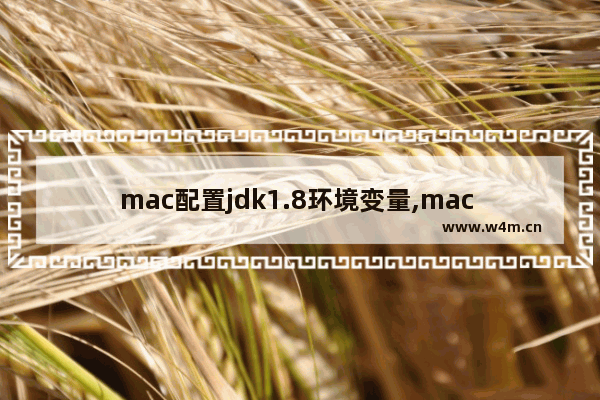 mac配置jdk1.8环境变量,mac jdk环境设置