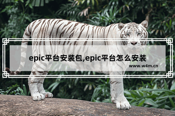 epic平台安装包,epic平台怎么安装不了