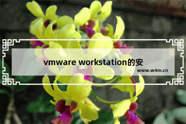 vmware workstation的安装详细步骤,vmware workstation安装步骤