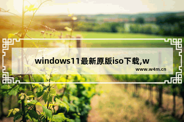 windows11最新原版iso下载,win10系统iso文件下载