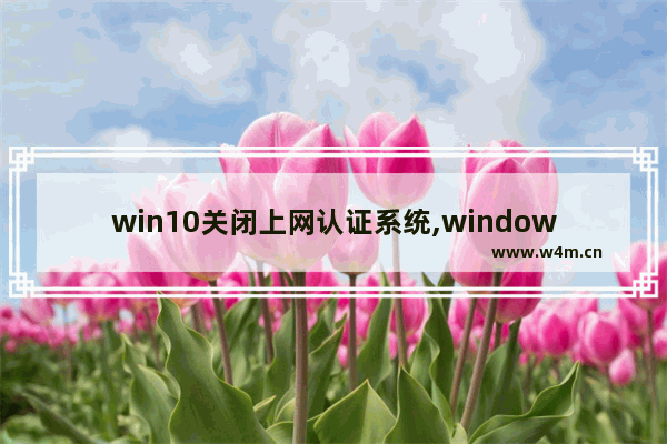 win10关闭上网认证系统,windows10怎么关闭网络