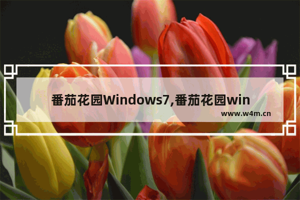 番茄花园Windows7,番茄花园win7安装教程_1