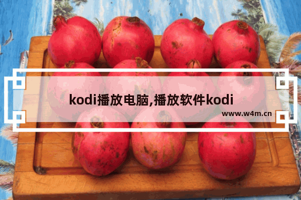 kodi播放电脑,播放软件kodi