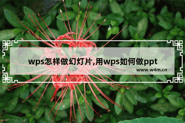 wps怎样做幻灯片,用wps如何做ppt幻灯片-,ppt制作教程步骤wps图片编辑文字