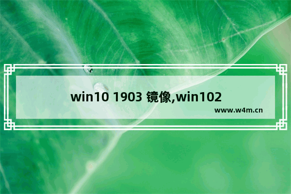 win10 1903 镜像,win1020h1官方镜像