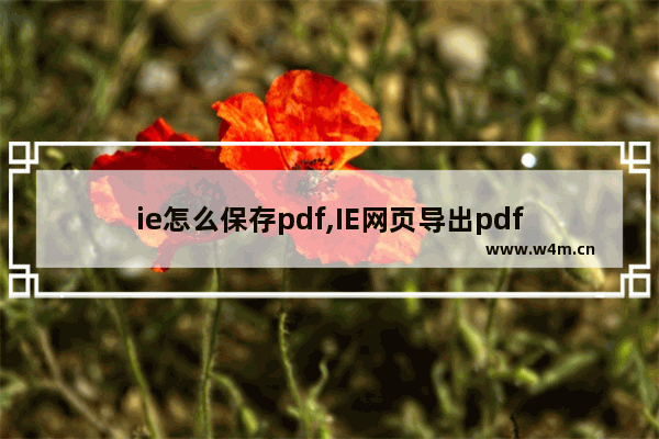 ie怎么保存pdf,IE网页导出pdf