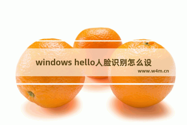 windows hello人脸识别怎么设置,windows hello面部识别不能用