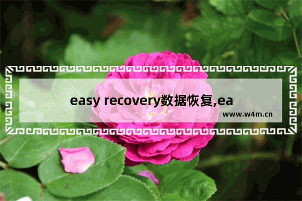 easy recovery数据恢复,easyrecovery怎么恢复文件