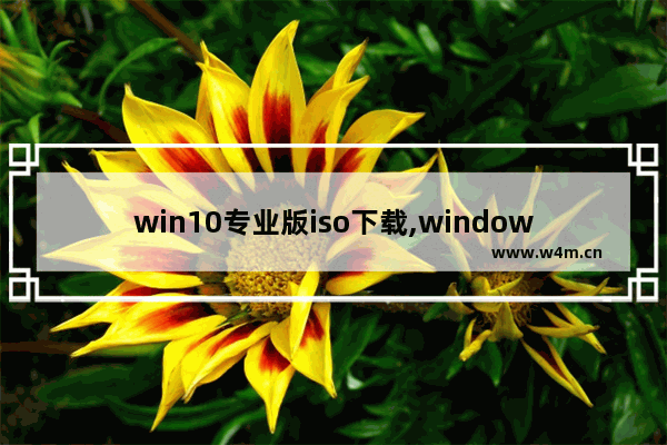 win10专业版iso下载,windows10专业版iso镜像下载