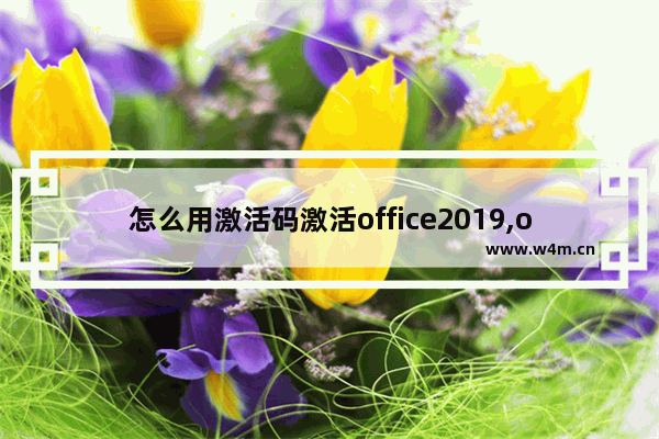 怎么用激活码激活office2019,office2019正版激活步骤