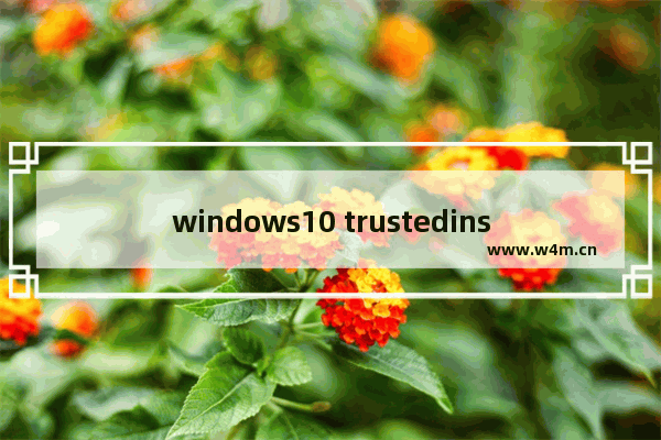 windows10 trustedinstaller权限获取,获取trustedinstaller权限window10_3