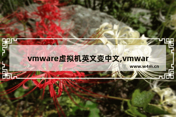 vmware虚拟机英文变中文,vmware怎么改中文