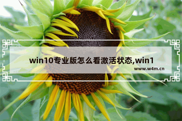 win10专业版怎么看激活状态,win10专业版如何查看是否激活