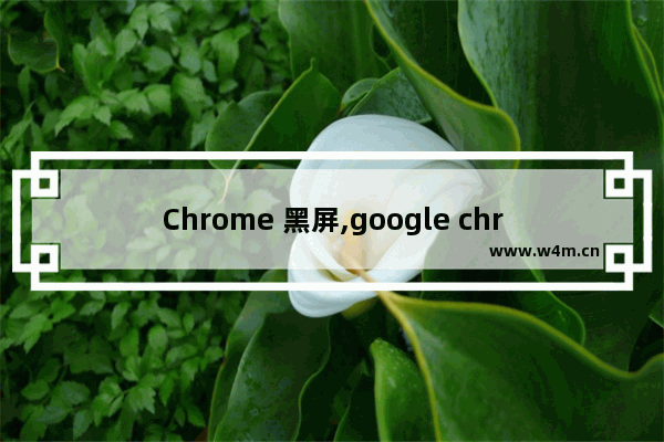 Chrome 黑屏,google chrome打开黑屏