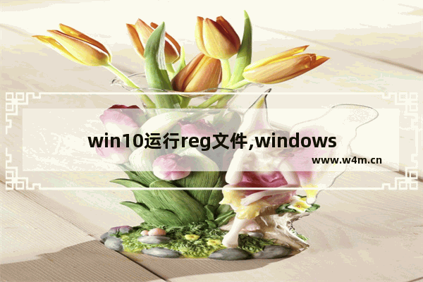 win10运行reg文件,windows reg