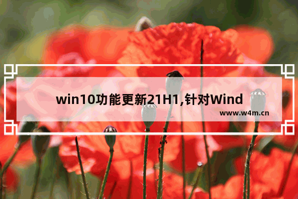 win10功能更新21H1,针对Windows10的功能更新,版本21H1