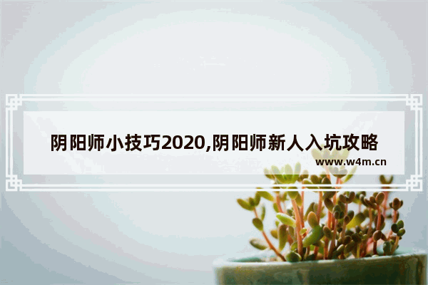 阴阳师小技巧2020,阴阳师新人入坑攻略2020