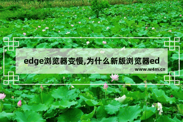 edge浏览器变慢,为什么新版浏览器edge,打开时确是老的