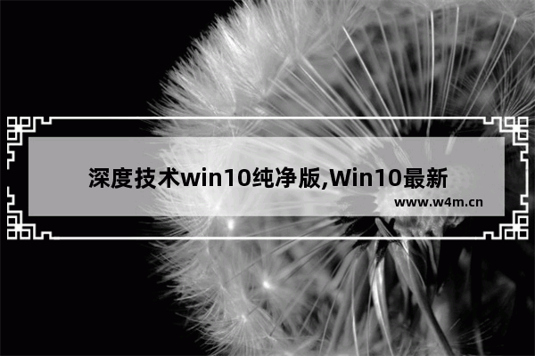 深度技术win10纯净版,Win10最新专业版