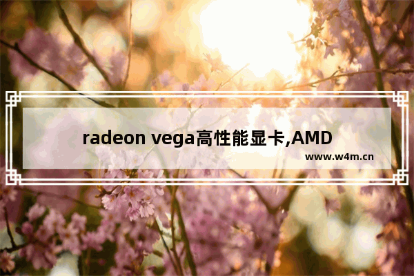 radeon vega高性能显卡,AMD Radeon RX Vega