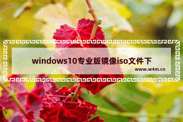 windows10专业版镜像iso文件下载,win10官方原版iso镜像 下载地址_1