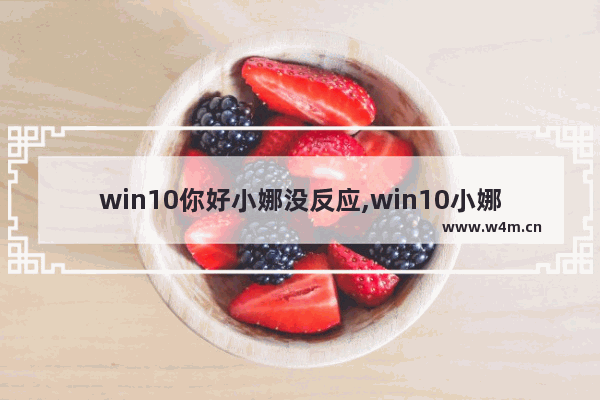 win10你好小娜没反应,win10小娜什么都不会了