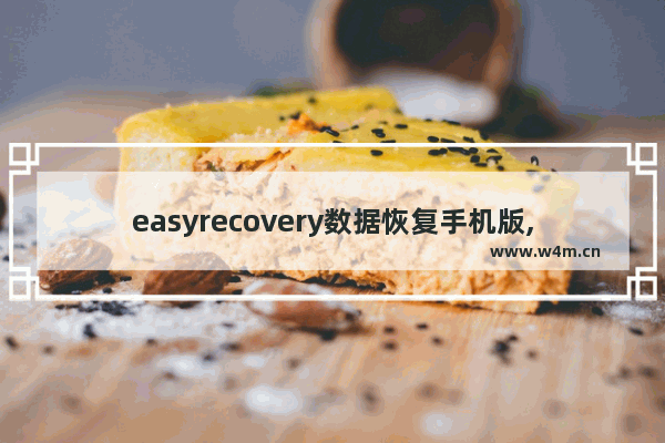 easyrecovery数据恢复手机版,如何用easyrecovery恢复数据