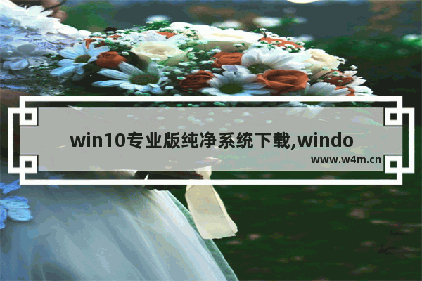 win10专业版纯净系统下载,windows7纯净版系统下载