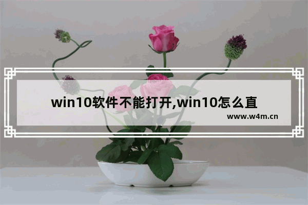 win10软件不能打开,win10怎么直接打开软件不提示